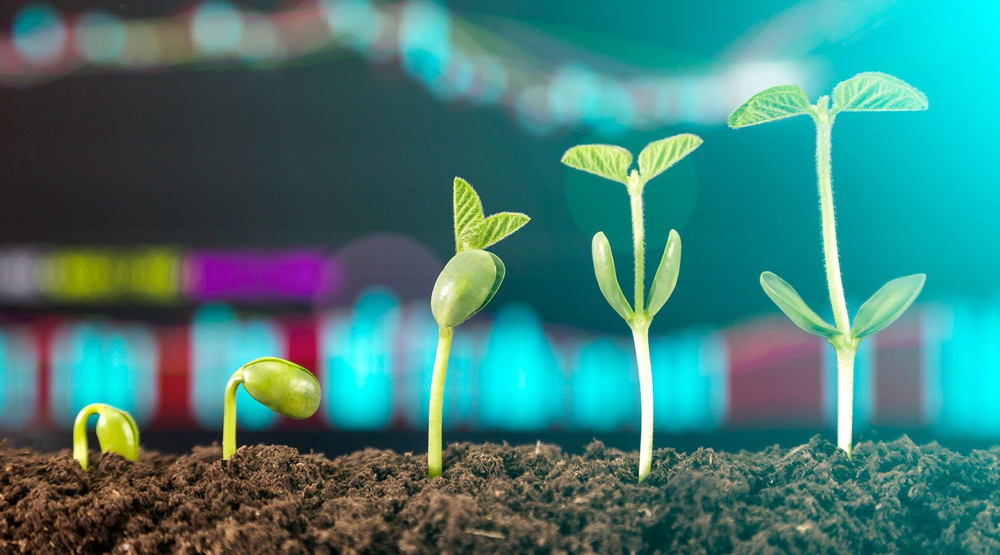 Za prodajalce in Investitorje